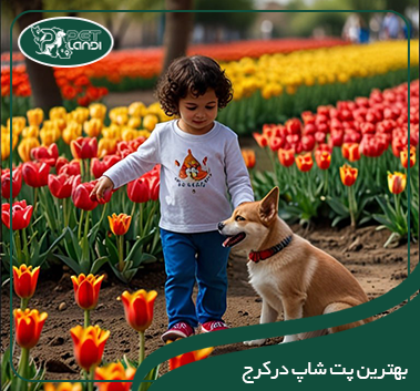 پت شاپ کرج