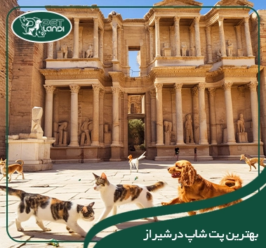 پت شاپ شیراز