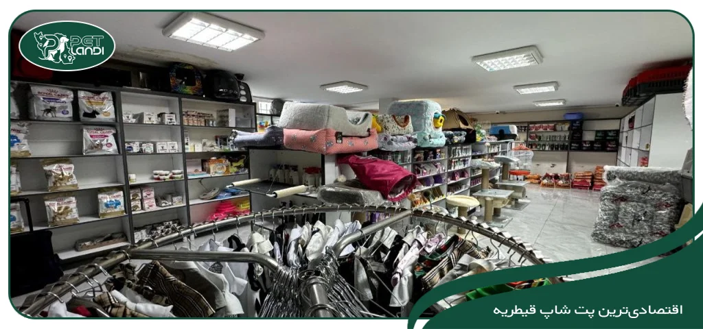بهترین پت شاپ در خیابان اندرزگو