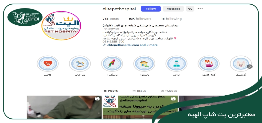 بهترین پت شاپ های خیابان الهیه تهران