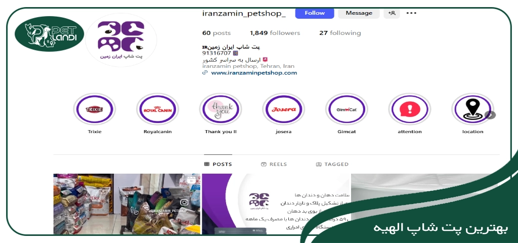 پت شاپ خیابان الهیه تهران