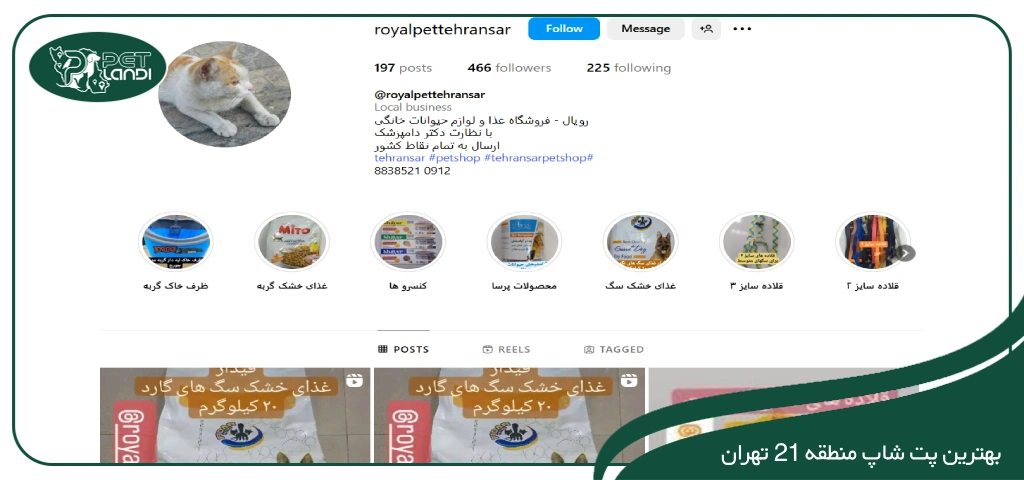 پت شاپ در منطقه 21 تهران