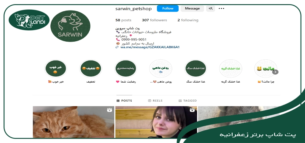 بهترین پت شاپ های خیابان زعفرانیه تهران