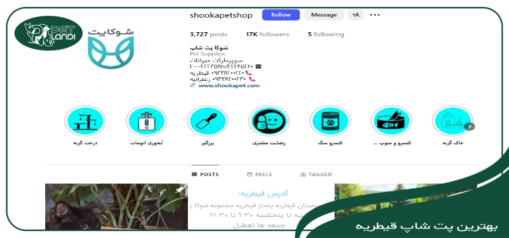 پت شاپ قیطریه