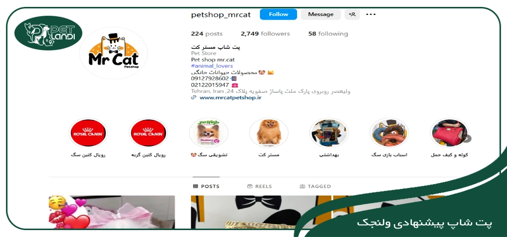پت شاپ مرکز خرید ولنجک