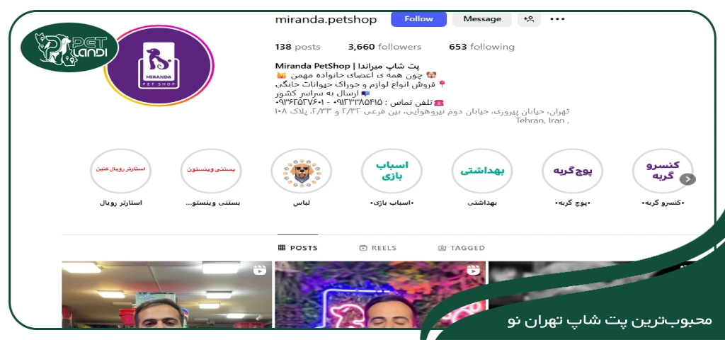 بهترین پت شاپ در تهران نو