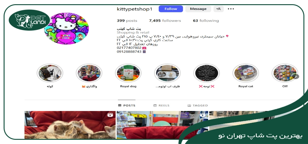 پت شاپ در تهران نو