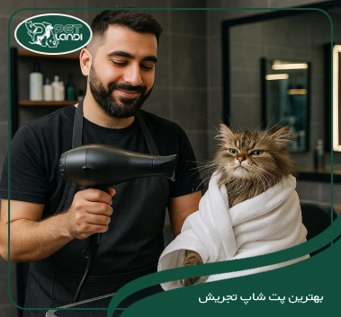 پت شاپ تجریش