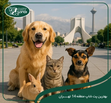 پت شاپ منطقه 14 تهران