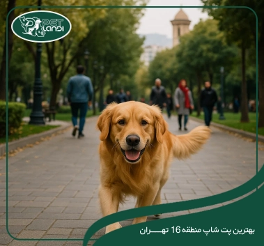 پت شاپ منطقه 16 تهران