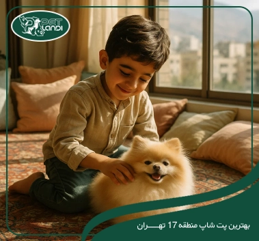 پت شاپ منطقه 17 تهران