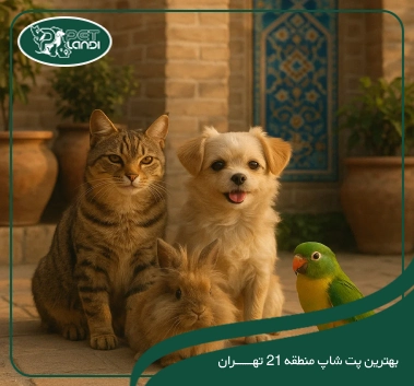پت شاپ منطقه 21 تهران