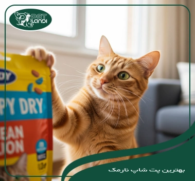 پت شاپ های نارمک