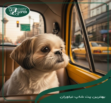 پت شاپ نیاوران