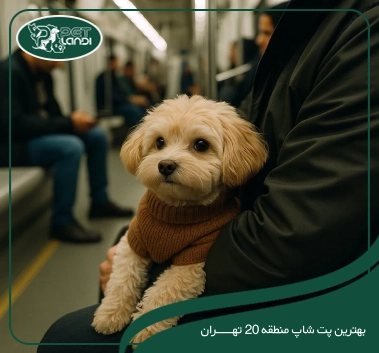 پت شاپ منطقه 20 تهران