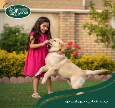 پت شاپ تهران نو