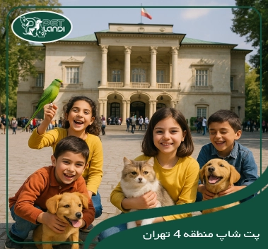پت شاپ منطقه 4 تهران