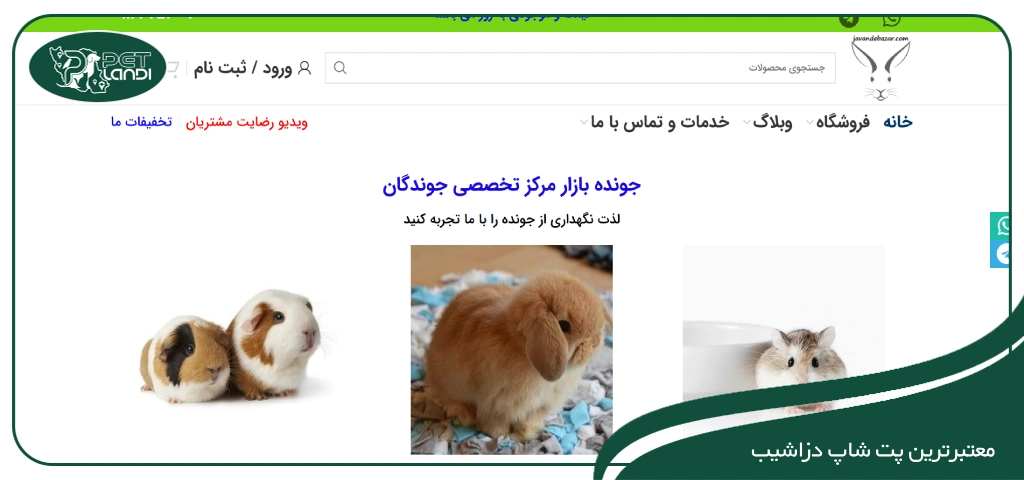  پت شاپ در دزاشیب