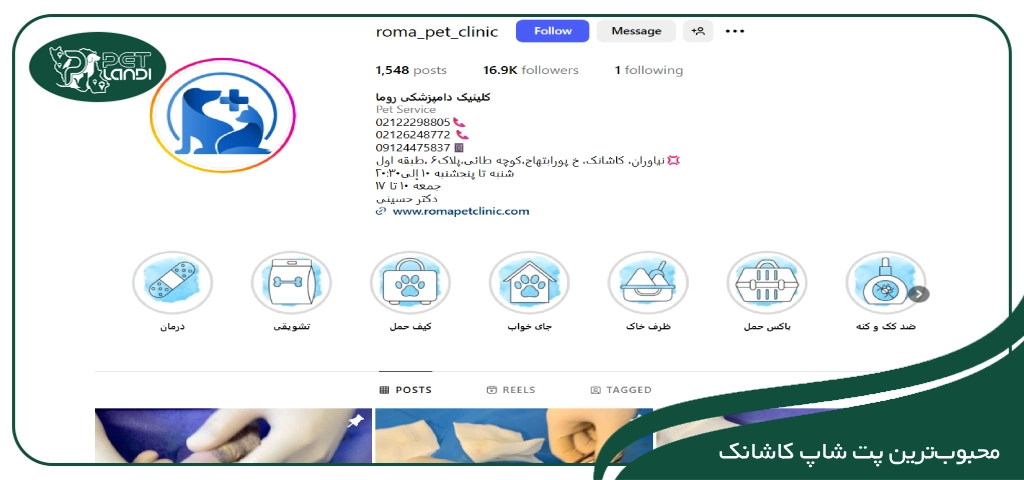 پت شاپ شبانه روزی کاشانک