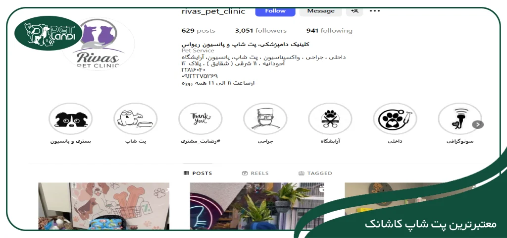 پت شاپ در کاشانک