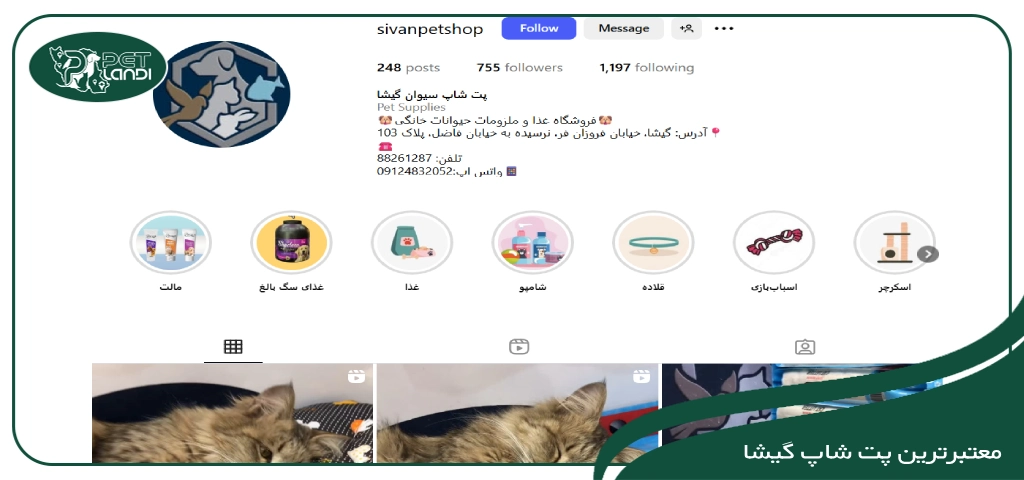 بهترین پت شاپ در گیشا