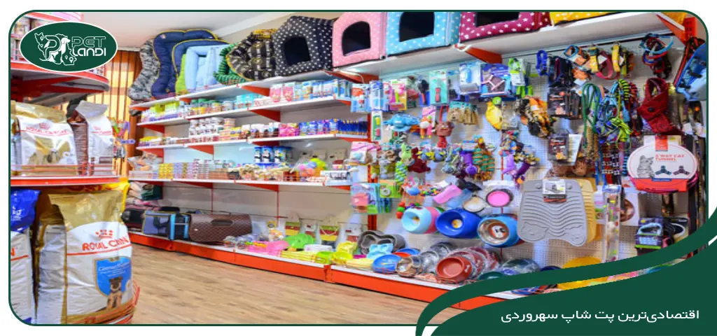 پت شاپ لوسی سهروردی