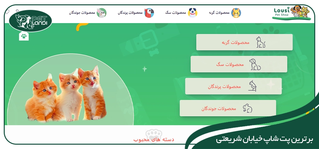 پت شاپ لوسی شریعتی