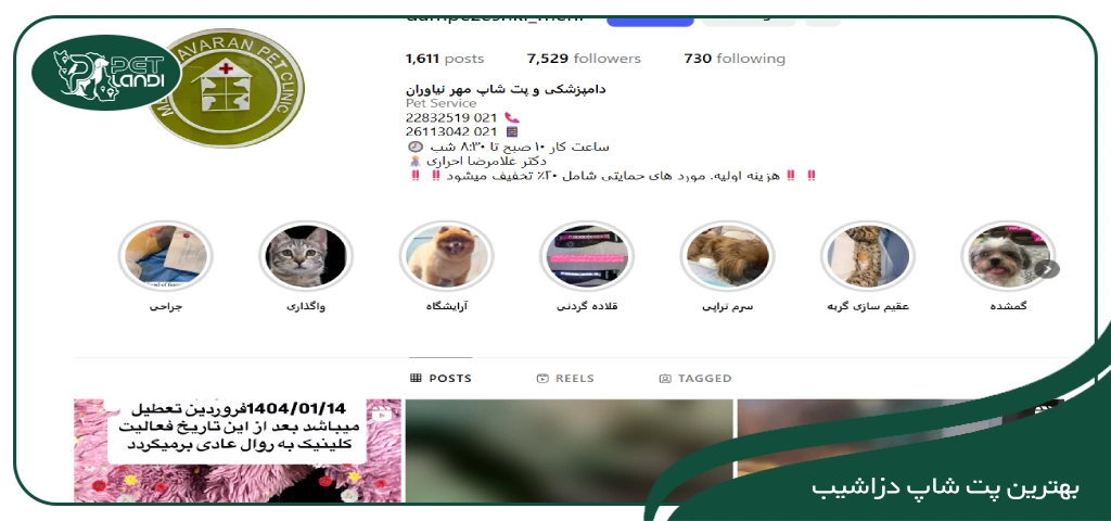 پت شاپ های دزاشیب