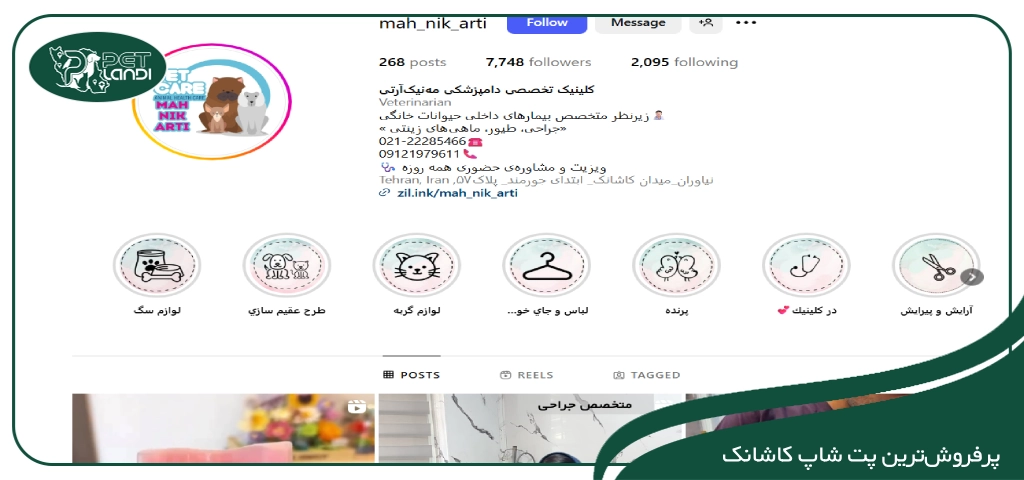 پت شاپ محله کاشانک