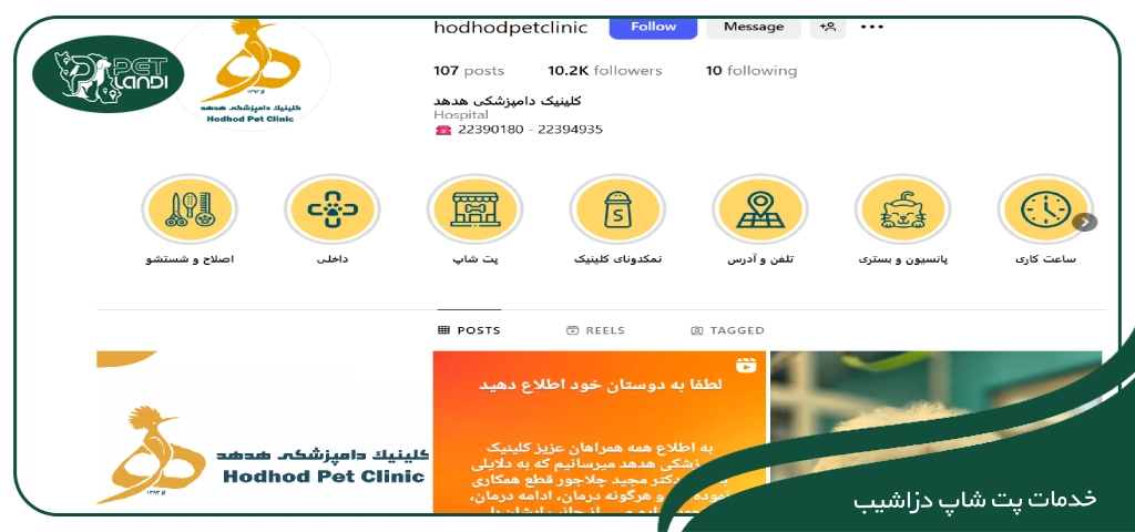 پت شاپ آنلاین دزاشیب
