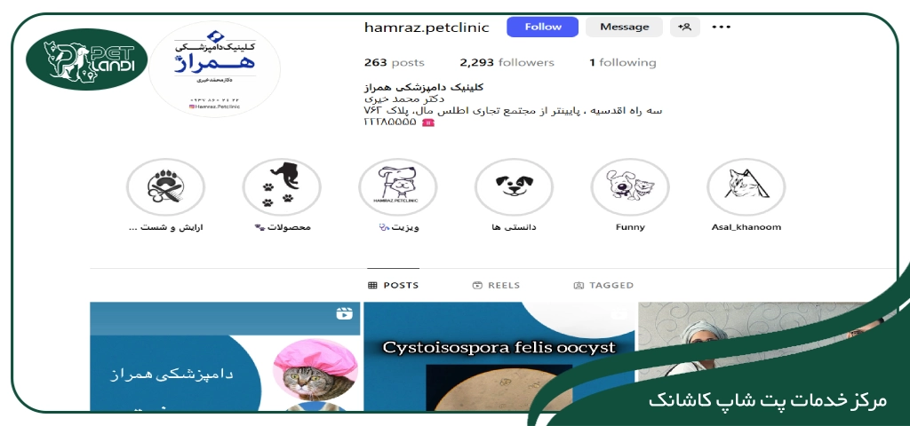  پت شاپ نزدیک کاشانک