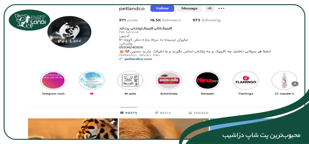 بهترین پت شاپ دزاشیب