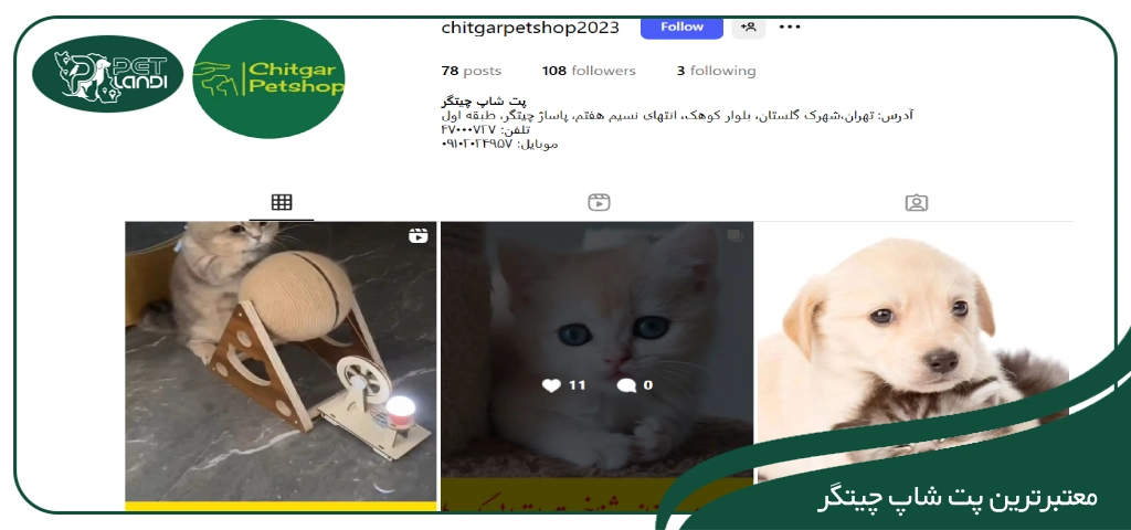 پت شاپ چیتگر
