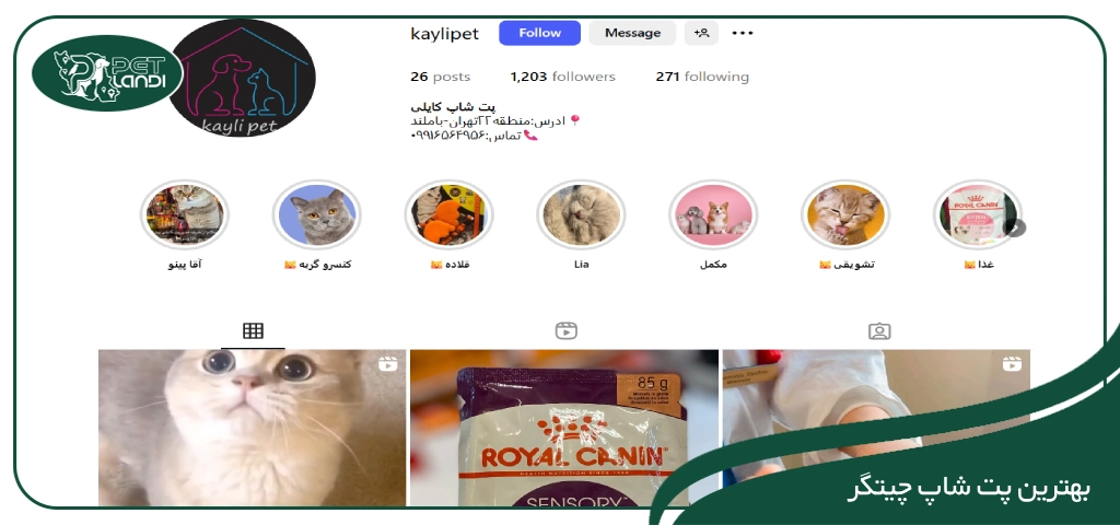 پت شاپ چیتگر