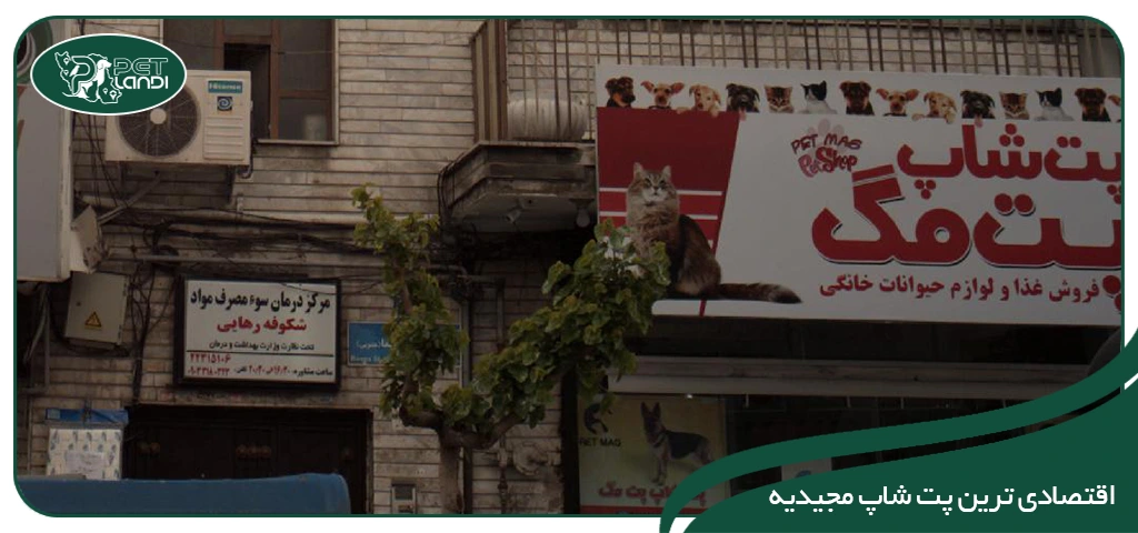 پت شاپ در مجیدیه