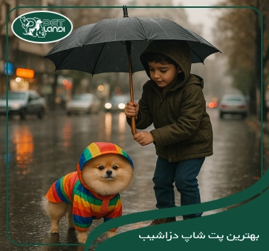 پت شاپ دزاشیب