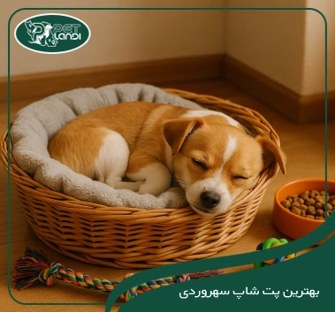 پت شاپ سهروردی