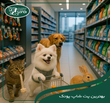 پت شاپ پونک