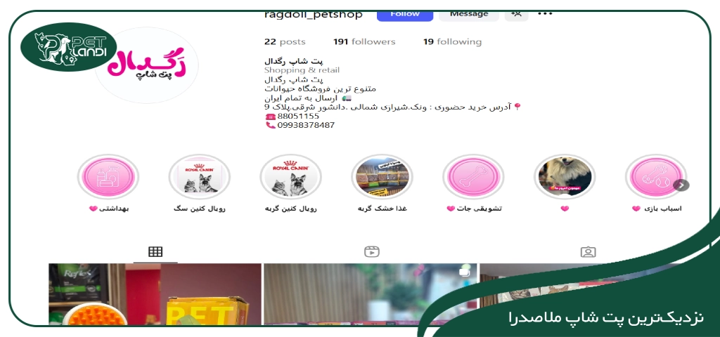 پت شاپ ملاصدرا شیراز جنوبی
