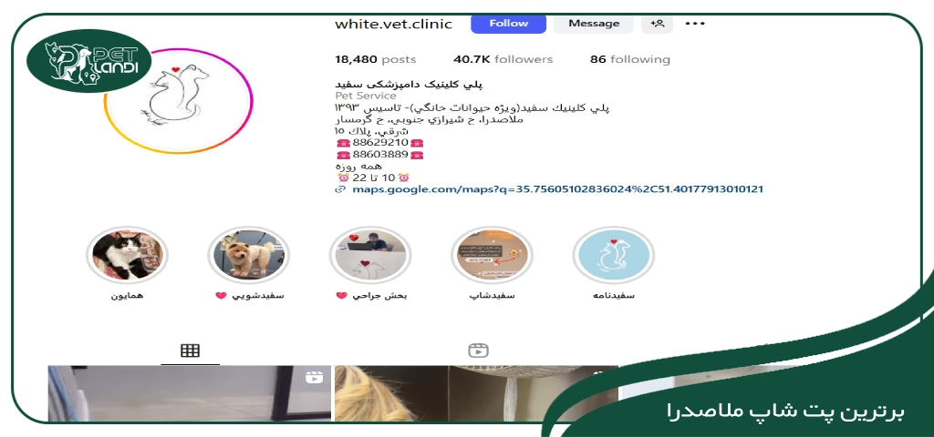 پت شاپ سفید ملاصدرا