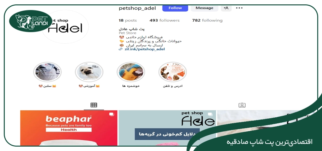 پت شاپ در صادقیه