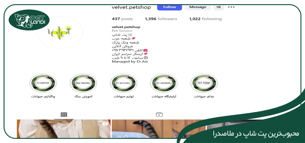 پت شاپ ملاصدرا ولوت