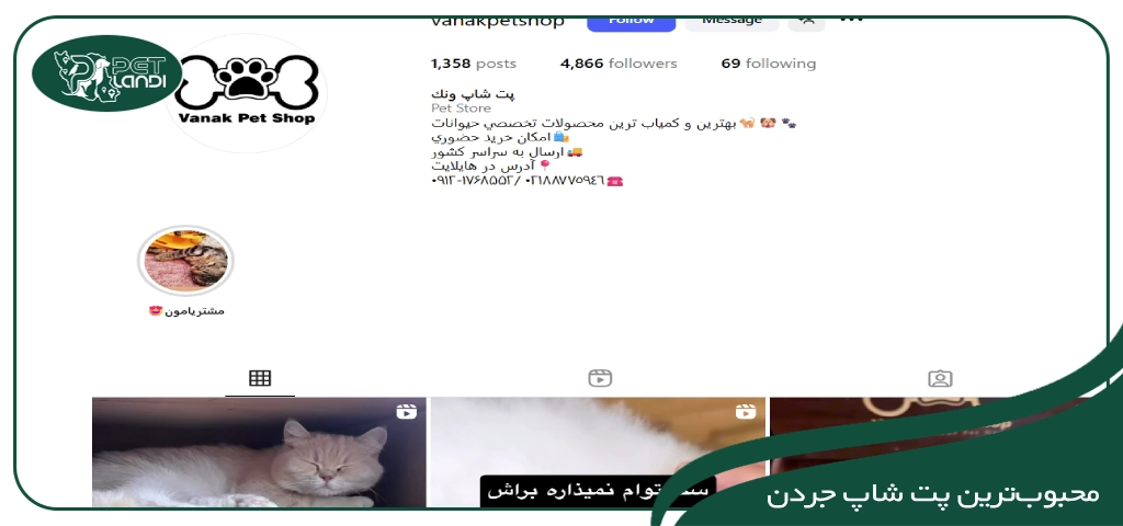 پت شاپ ونک تهران جردن