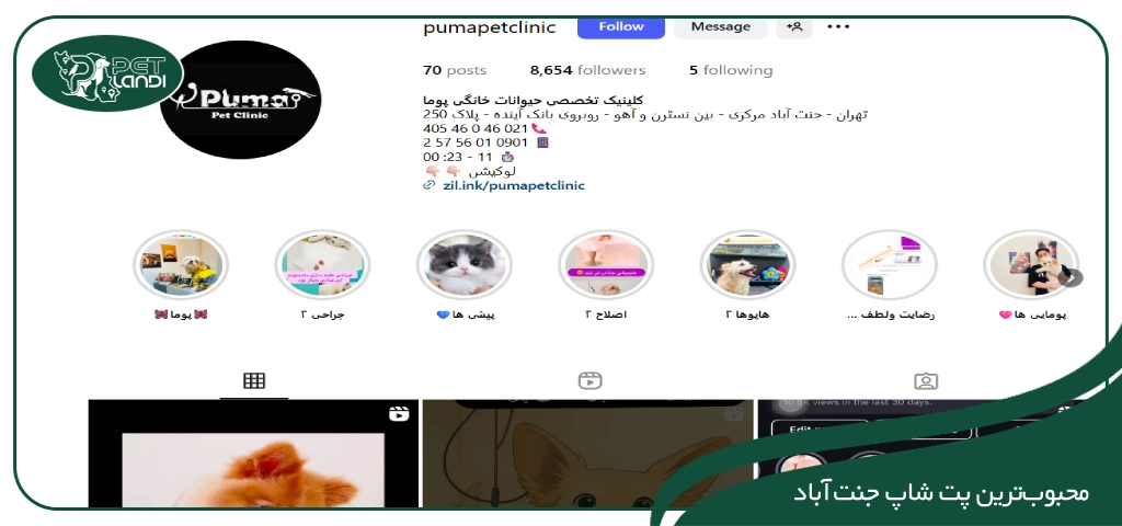 پت شاپ جنت اباد