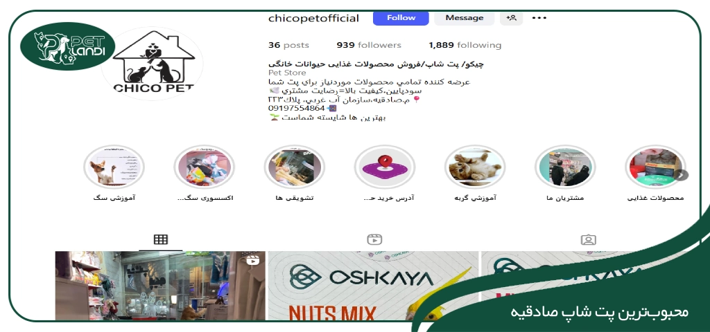 پت شاپ چیکو در صادقیه