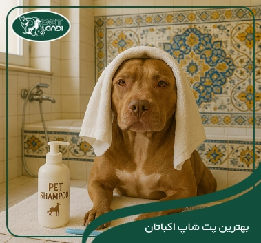 پت شاپ شهرک اکباتان