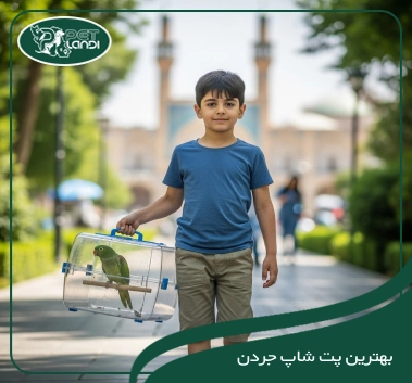 پت شاپ جردن