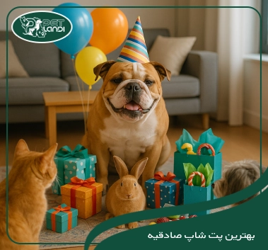پت شاپ صادقیه